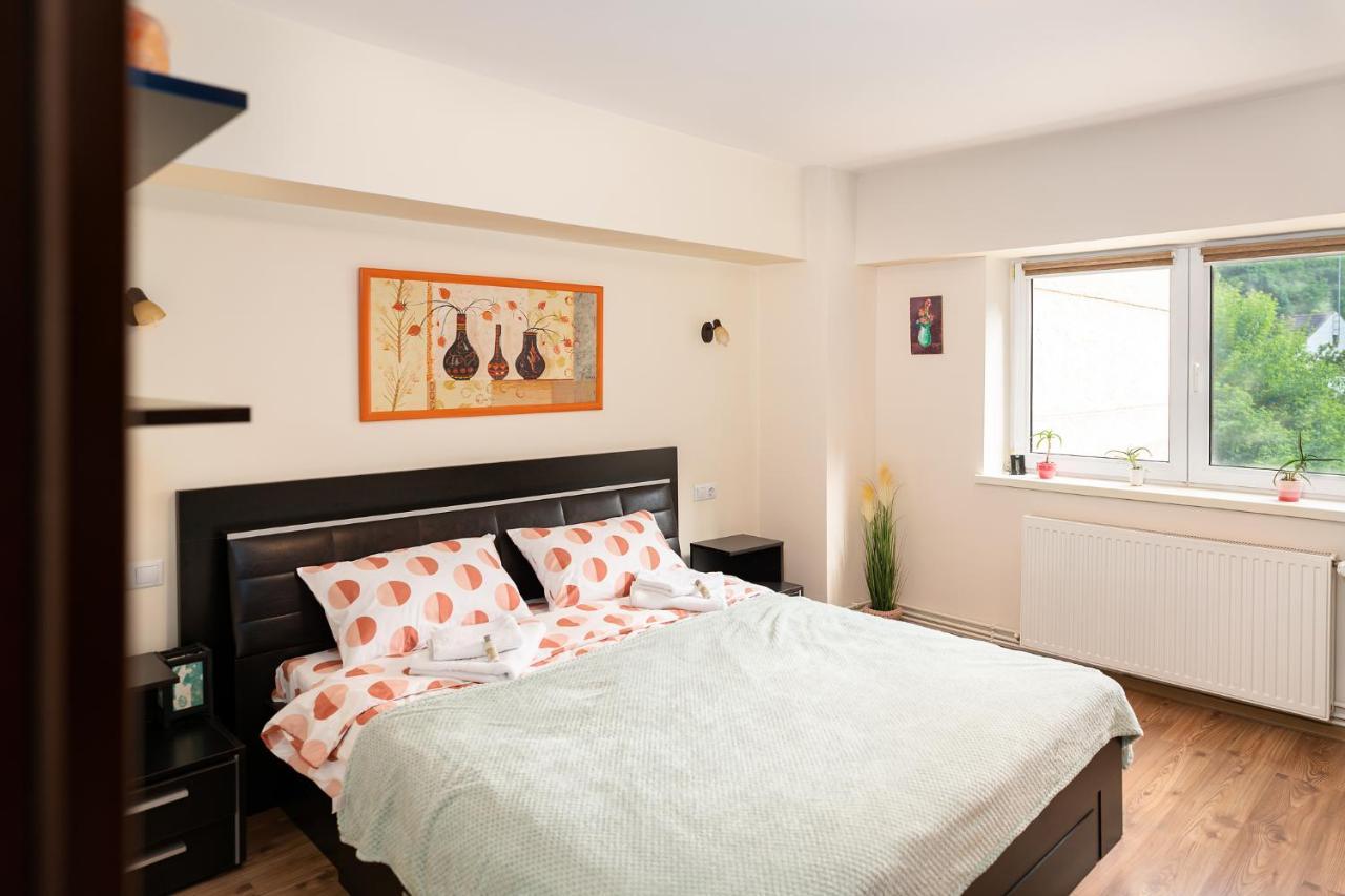 Metropolitan Wildscape View Apartment Brasov Luaran gambar